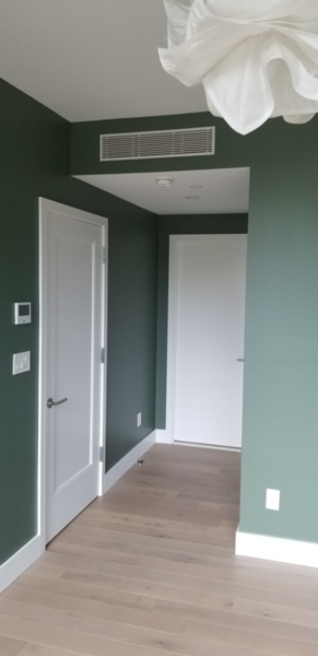 Hallway with deep green painted walls, white doors and trim, and light wood floor